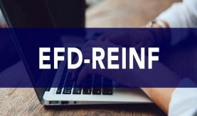 Tudo o que você precisa saber sobre a EFD-Reinf